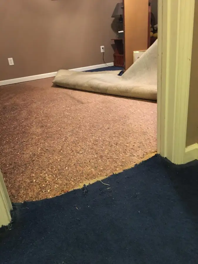 Carpet pad removal revealing water damage during Drying & Dehumidification in Inglewood