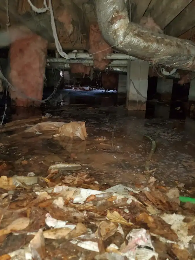 Crawl space flood assessment for Leak Detection & Repair in Inglewood