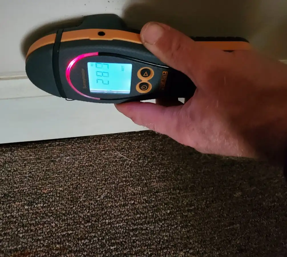Moisture detection at baseboard during Mold Inspection & Testing in Inglewood